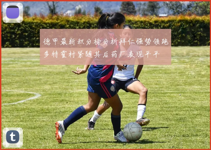 德甲最新积分榜分析拜仁强势领跑多特霍村紧随其后药厂表现平平